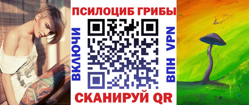Купить где  Мосальск  Псилоцибиновые грибы мицелий 